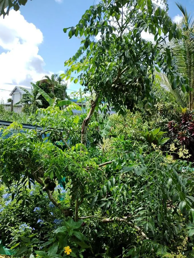 Holiday home Ti-Colibri ✓Iguana Village Sainte-Luce Martinique
